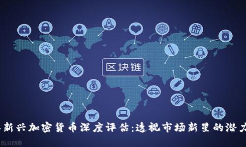 2023年新兴加密货币深度评估：透视市场新星的潜力与风险