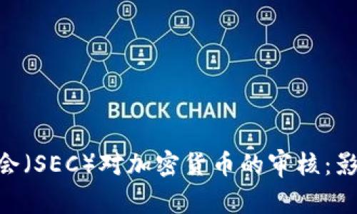 美国证券交易委员会(SEC)对加密货币的审核:影响、挑战与未来展望