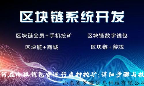 如何在小狐钱包中进行质押挖矿:详细步骤与技巧
