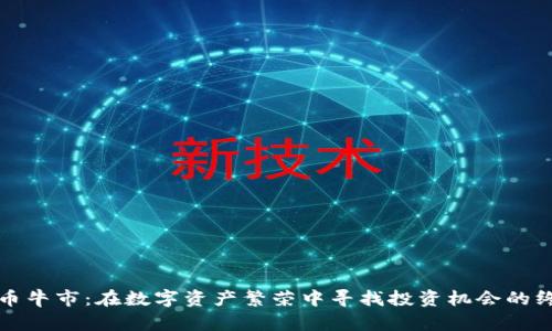 加密货币牛市:在数字资产繁荣中寻找投资机会的终极指南