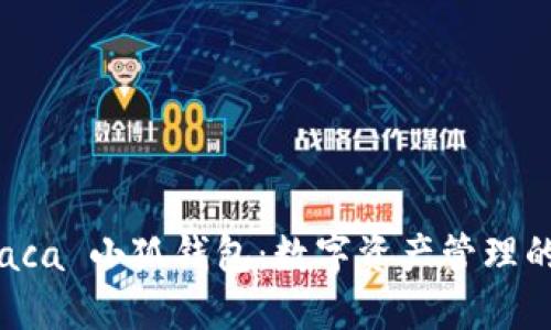 探索 Raca 小狐钱包:数字资产管理的新选择
