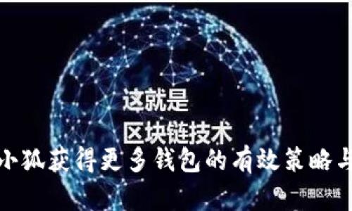 探索小狐获得更多钱包的有效策略与技巧