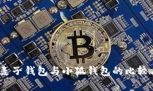 全面解析:麦子钱包与小狐钱包的比较与选择指南
