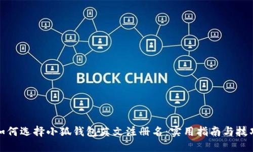 如何选择小狐钱包英文注册名：实用指南与技巧