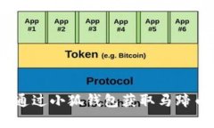 全面解析：如何通过小狐钱包获取马蹄币的方法