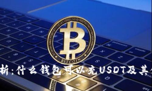  全面解析：什么钱包可以充USDT及其使用指南