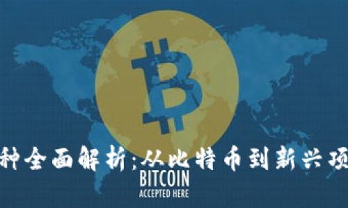 : 加密货币品种全面解析：从比特币到新兴项目的投资机会
