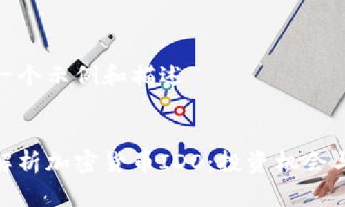 这是一个示例和描述

:
深度解析加密货币IDO：投资机会与风险