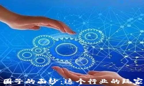 
揭开加密货币圈子的面纱：这个行业的玩家和他们的动机