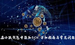 如何在小狐钱包中添加BCH：详细指南与常见问题