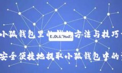 下载小狐钱包里的钱的方法与技巧详解如何安全