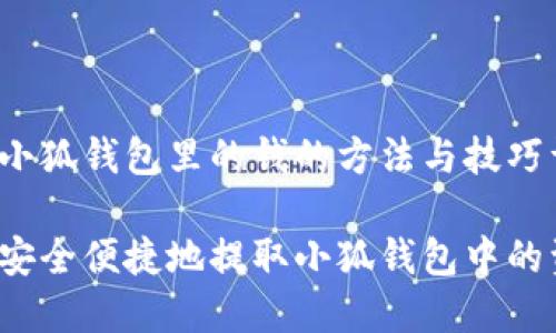 下载小狐钱包里的钱的方法与技巧详解

如何安全便捷地提取小狐钱包中的资金？