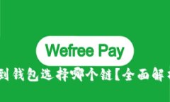 USDT提到钱包选择哪个链？全面解析与建议