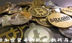全面评估加密货币的现状、挑战与未来发展