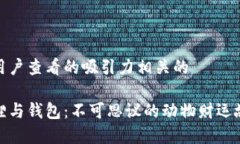 与用户查看的吸引力相关的狐狸与钱包：不可思