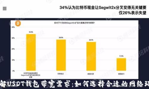 
了解USDT钱包带宽需求：如何选择合适的网络环境