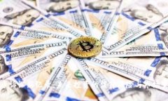 加密货币诉讼新纪录：未来投资的法律风险与市