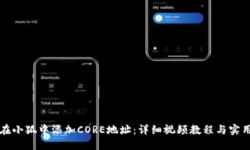 如何在小狐中添加CORE地址：详细视频教程与实用指南